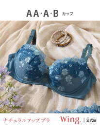 【SALE／15%OFF】ウイング ブラジャー 【ナチュラルアップブラ】 Wing ウイング インナー・ルームウェア ブラジャー ベージュ パープル ブルー グレー ホワイト【RBA_E】[Rakuten Fashion]