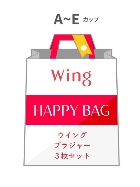 【福袋】 ウイング ブラジャー 3枚セット A~Eカップ Wing ウイング インナー・ルームウェア ブラジャー【送料無料】[Rakuten Fashion]