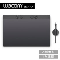 楽天市場】wacom intuos pro paper edition largeの通販