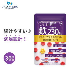 鉄 サプリ 鉄分 サプリメント ワダカルシウム製薬 鉄 マルチビタミン 葉酸サプリ 葉酸 鉄 カルシウム ビタミンB1 ビタミンB2 ビタミンB6 ビタミンB12 ナイアシン パントテン酸 ビオチン ベースサプリ 1日分の鉄230% 90粒