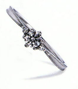 WPR-009E _ChiӒ菑tj w GQ[WOy11E22@vwzNO.9@X^Cv@n[hv`i