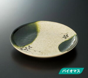 X[C~EFA2025 D 21cm ێM M|451EA