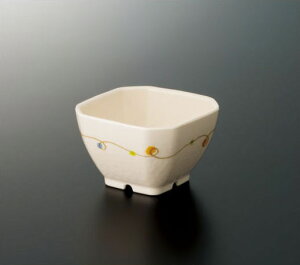 X[C~EFA2025  p M|456YR