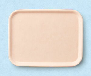 X[C~EFA2025 CgsN pgC STK|2735LPK