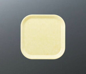 X[C~EFA2025 CgCG[ pgC STL3000FLYE