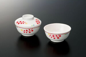 X[C~EFA2025 r[Y ۏ W Y|141FRU