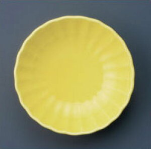 X[C~EFA2025 CG[ e` EL|409|Y