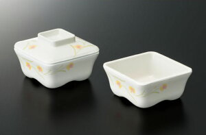 X[C~EFA2025 n~O one p g GER|486