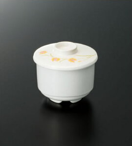 X[C~EFA2025 n~O one ނq W GER|61F