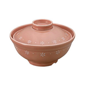 a igj ԏi͂Ȃj HC-10B-HKM _CRNV Vol.22