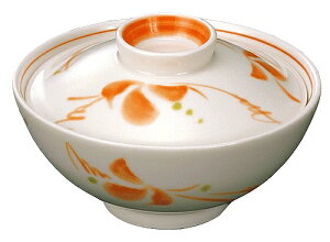 a ʒqigj Ԃ HC-213B-FS _CRNV Vol.22