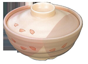 a ʒqigj т HC-213B-SKB _CRNV Vol.22