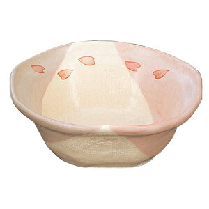 a zڏ т HC-434-SKB _CRNV Vol.22