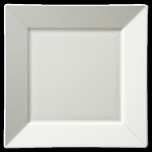 a XNGAME zCg SS-1-W _CRNV Vol.22