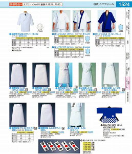 ߎ@zCg@FT429 S STY2101