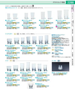 �i�b�N�@10�]���r�[�@�i6�����j T�|20101HS RZV5901