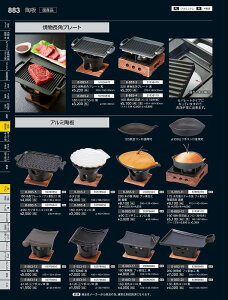 Ntg@ALj220ĕpv[g@i1lpj@51038470@₷炬@VolD35