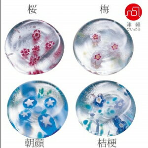 ΒˏɎq ISHIZUKA GLASS AfAOX ADERIA GLASS Ìyтǂ u 5Zbg  F62184 ~ F62185  F62186 j[ F62187 gt F62188 ؍ F62189 V F62190  F62191