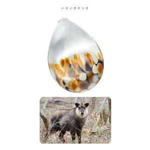 ΒˏɎq ISHIZUKA GLASS AfAOX ADERIA GLASS Ìyтǂ _̐X u ui̐V F75700 r F75701 uỉt F75702 AJVEr F75703 JZ~ F75704 jzJVJ F75705