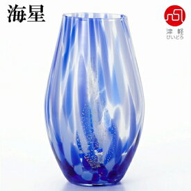 石塚硝子 ISHIZUKA GLASS アデリアグラス ADERIA GLASS 津軽びいどろ 彩の風 花器 花瓶 海星 F71856 夜風 F71857