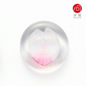 ΒˏɎq ISHIZUKA GLASS AfAOX ADERIA GLASS Ìyтǂ 炳 sakuraԂт產u 3Zbg F79413 