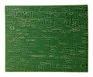 ԓ` Vol.11 Î 32cmpM 53871001