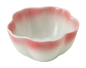 ԓ` Vol.11 R sN  58945025