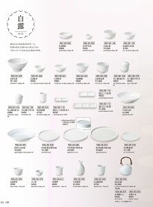 �J�l�X�Y Vol.21 ���I 1������ 58300382