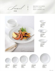 �X�l�[�� 24cm�p�X�^ 256-00-847 ������ HOTEL&RESTAURANT WARE Vol.22 �J�l�X�Y �Z���~�b�N�X