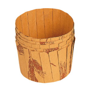 DL�|6413�@�����}�t�B���^�Z�b�g�@��@(5����) DMFC1001