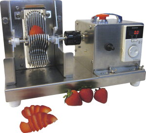 dC`SXCT[@@SBSL@5mm EFSL0301