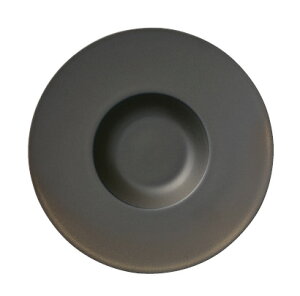 10-586J/94997�@24cm�@�f�B�b�v�v���[�g SNOB8501