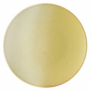 KOYO tBm f[CG[ 22cmv[g 13623005 HOTEL&RESTAURANT TABLEWARE vol.24