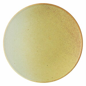 KOYO tBm f[CG[ 15.5cmv[g 13623008 HOTEL&RESTAURANT TABLEWARE vol.24