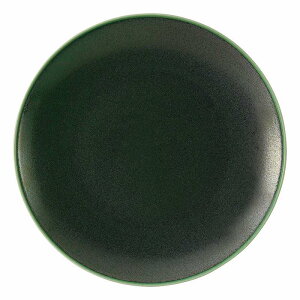 KOYO tBm ACr[O[ 24cmv[g 13671004 HOTEL&RESTAURANT TABLEWARE vol.24