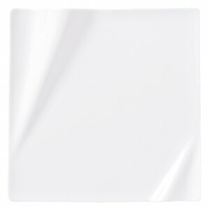 KOYO lv`[ sAzCg 23cmXNGA[v[g 14000081 HOTEL&RESTAURANT TABLEWARE vol.24