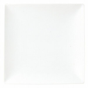 KOYO p[S 27cmpM 14700061 HOTEL&RESTAURANT TABLEWARE vol.24