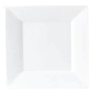 KOYO XNGA[ 23cmM 14900003 HOTEL&RESTAURANT TABLEWARE vol.24