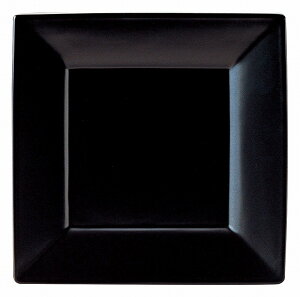 KOYO XNGA[ }bgubN 26.5cmM 14930002 HOTEL&RESTAURANT TABLEWARE vol.24