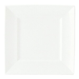 KOYO }[ 27cmpM 17000062 HOTEL&RESTAURANT TABLEWARE vol.24