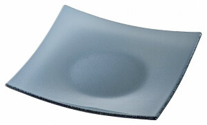 KOYO V[j X[N 22cmXNGA[N[vM G2530063 HOTEL&RESTAURANT TABLEWARE vol.24