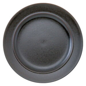 �����^�[�j���@�r�X�^�@23cm�v���[�g 12762004 KOYO HOTEL&RESTAURANT TABLEWARE vol.25