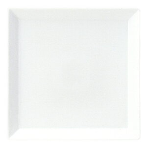 �~���[���@23cm�X�N�G�A�[�v���[�g 19700063 KOYO HOTEL&RESTAURANT TABLEWARE vol.25