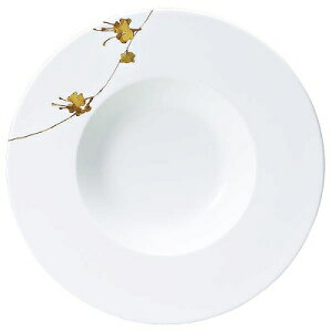NARUMI i~ ChX[vv[g 25cm M X[vM A 51696-5239 A 51230-5239