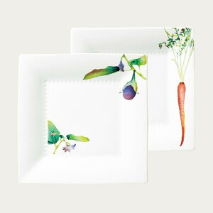 Noritake m^P { 23cmXNGAv[gyAZbg(Gς) (Ή֎qElQ) P5342A/1620-35 1620-35L/P94542 M