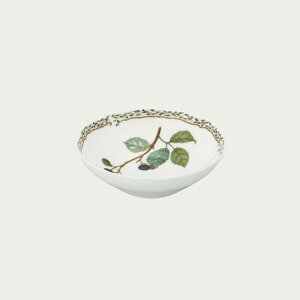 Noritake m^P I[`[hK[f 14.5cm{E 97806/4911 4911L/97806 