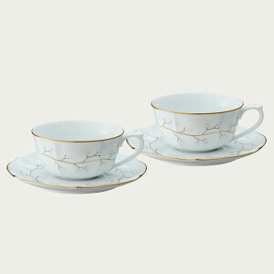 Noritake m^P zCgx Jbv\[T[yA 240ml 1747L/P94711 eB[Jbv R[q[Jbv