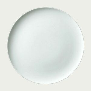 Noritake m^P N4 25cmtbgv[g 4Zbg 5523A/1628 1628L/05523A M