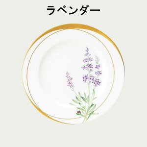 Noritake �m���^�P ���f�B�o�O 21.5cm�v���[�g ��M No.2 ���x���_�[ T59811/T772-4 T772-4/T59811 �X�C�[�g�s�[ T59811/T772-5 T772-5/T59811 �V�N������ T59811/T772-6 T772-6/T59811
