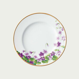 Noritake �m���^�P ���݂� 21.5cm�v���[�g T59811/T773 T773/T59811 ��M